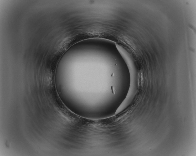 X0000091470408200708231343