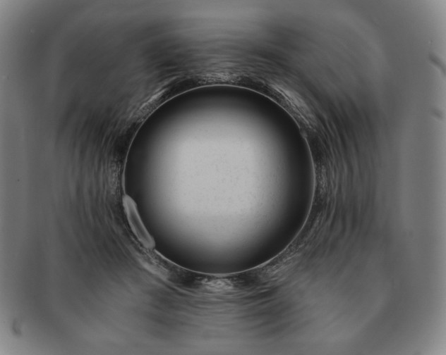 X0000091470409200708231343