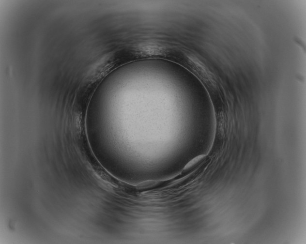 X0000091470410200708231343