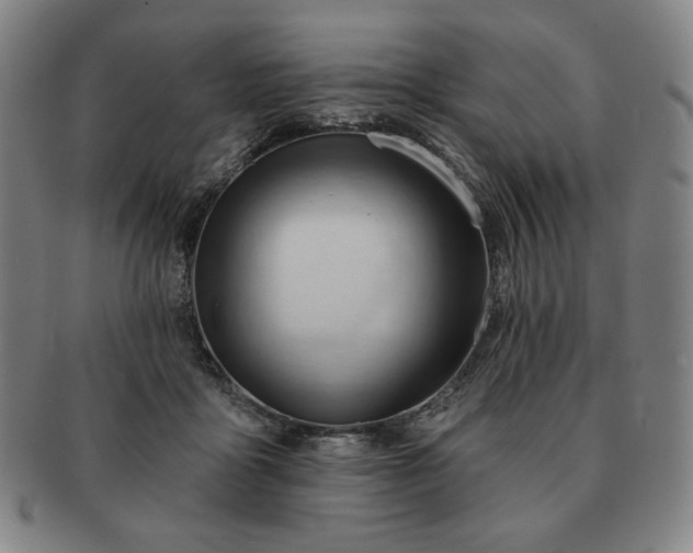 X0000091470411200708231343