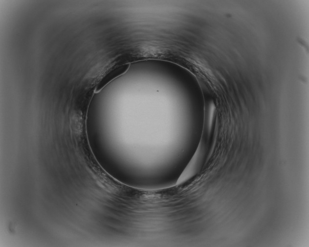 X0000091470413200708231343