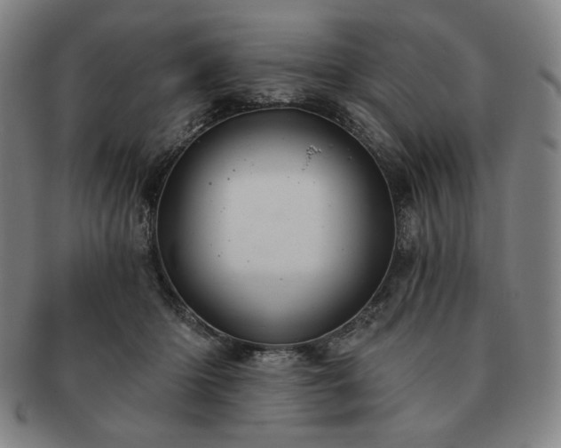 X0000091470414200708231343