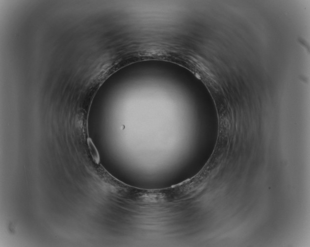 X0000091470415200708231343