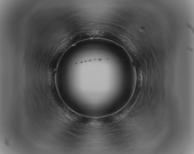 X0000091470416200708231342