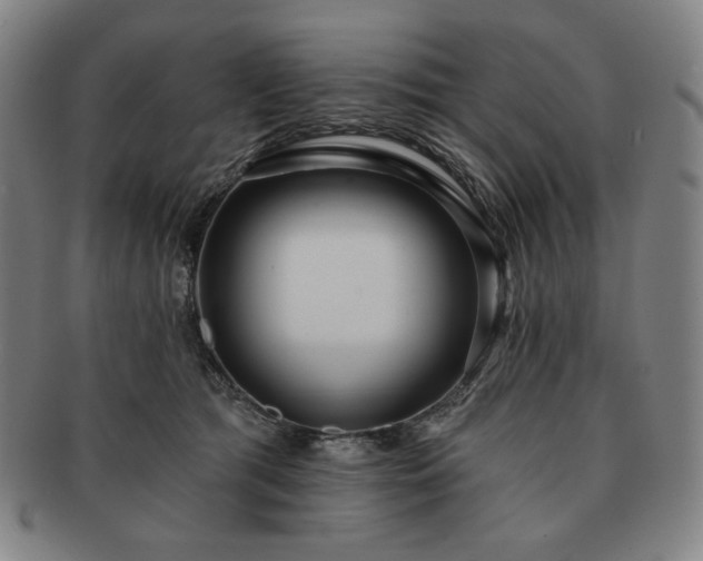 X0000091470417200708231342