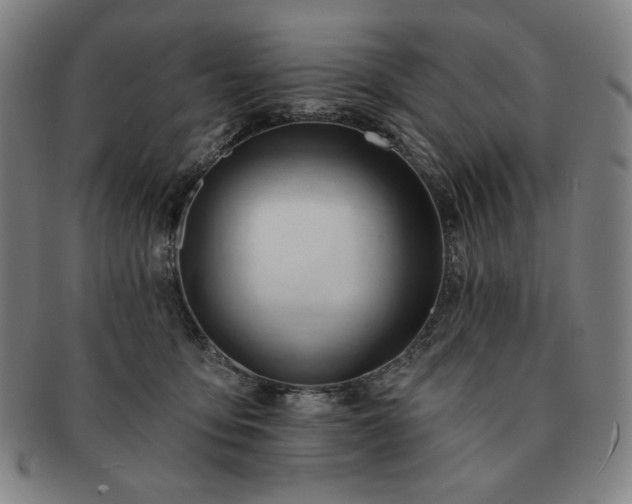 X0000091470419200708231342