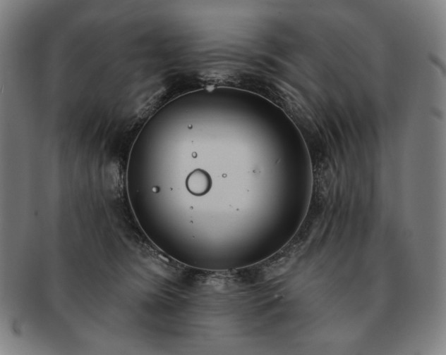 X0000091470420200708231342