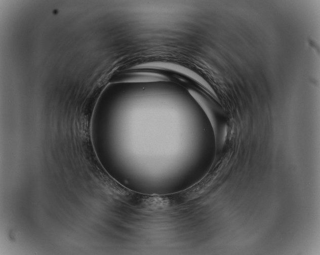 X0000091470421200708231342