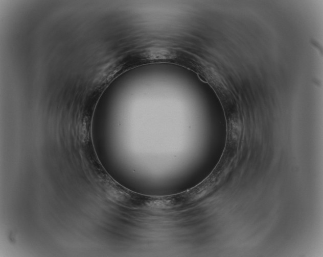 X0000091470422200708231342