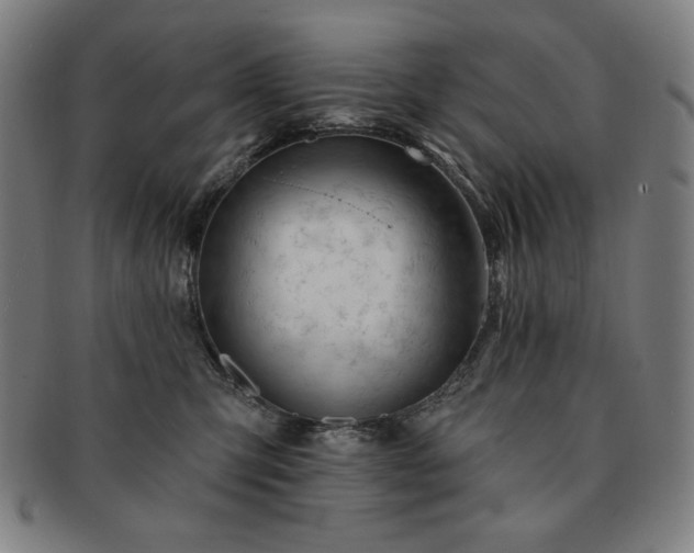 X0000091470423200708231342