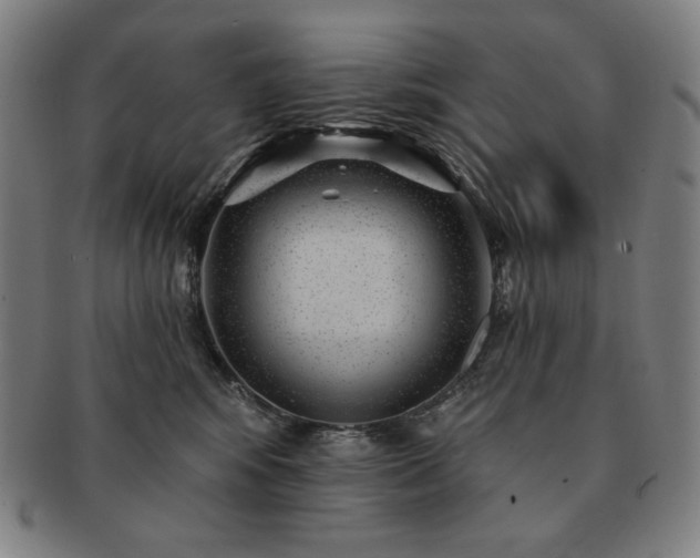 X0000091470424200708231342