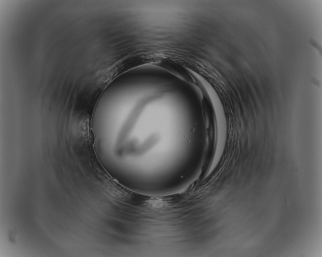 X0000091470425200708231342