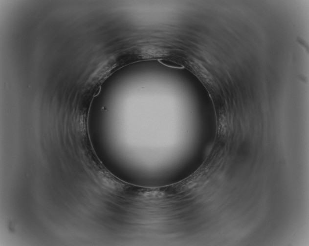 X0000091470426200708231342