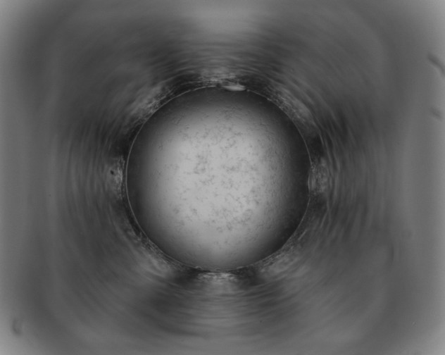 X0000091470427200708231342