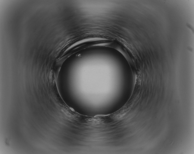 X0000091470428200708231342