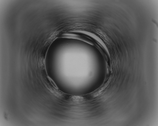 X0000091470429200708231342