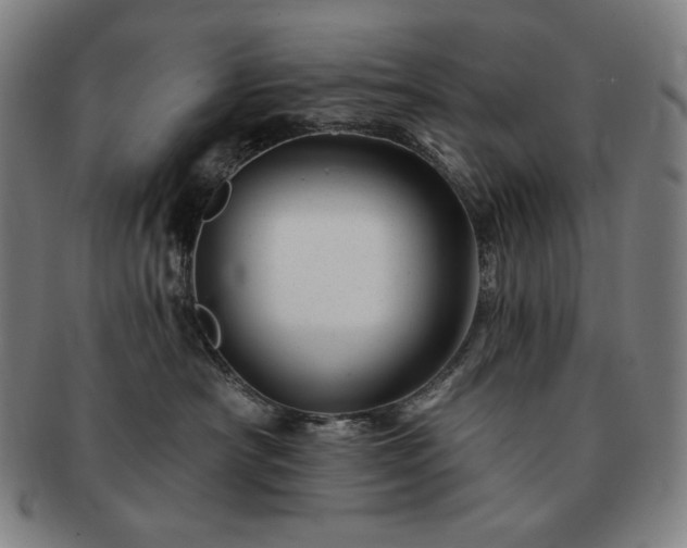 X0000091470430200708231342