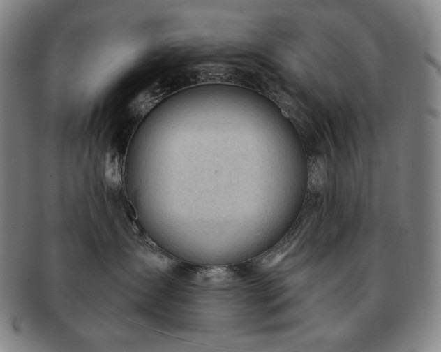 X0000091470431200708231342