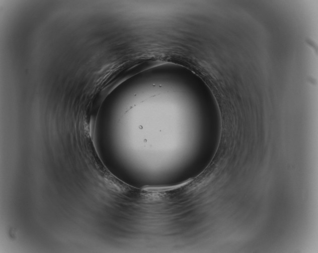 X0000091470432200708231342