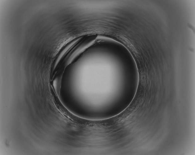 X0000091470434200708231341