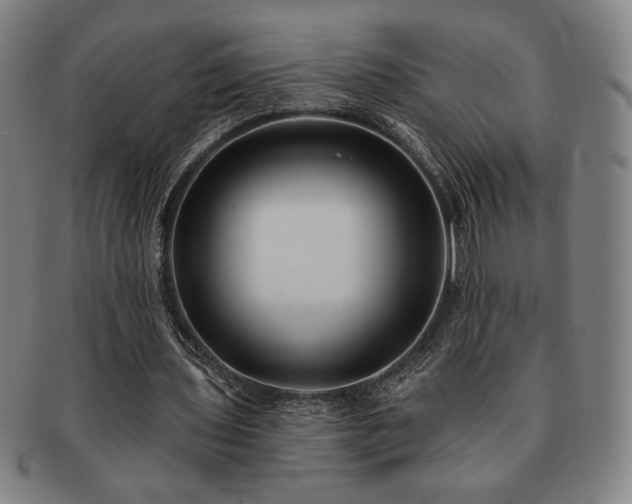 X0000091470435200708231341