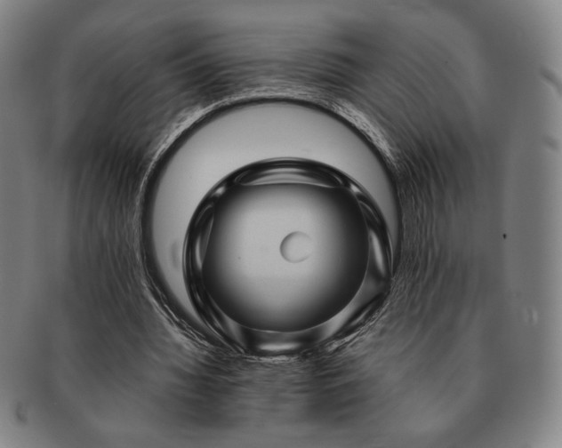 X0000091470436200708231341