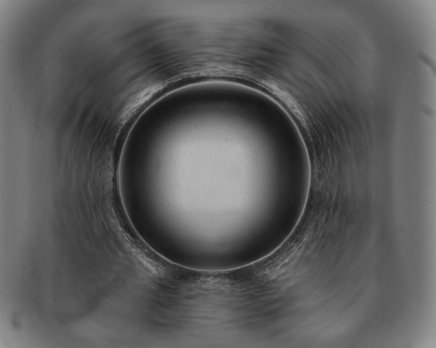 X0000091470437200708231342