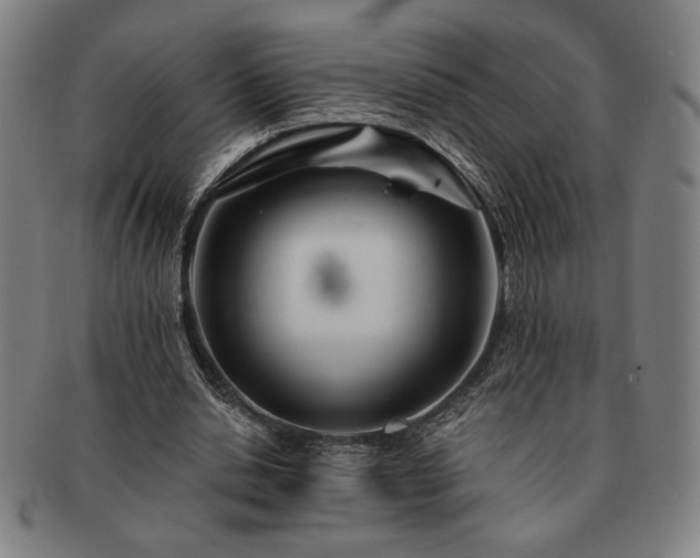 X0000091470438200708231342