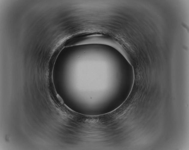 X0000091470440200708231342