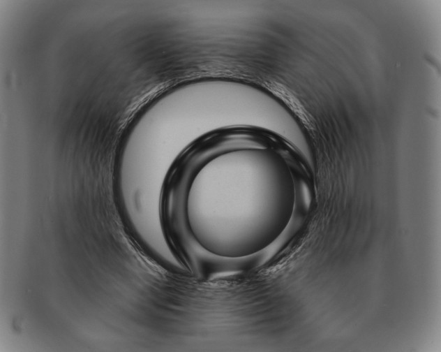 X0000091470442200708231342