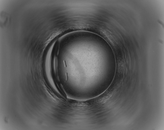 X0000091470443200708231342