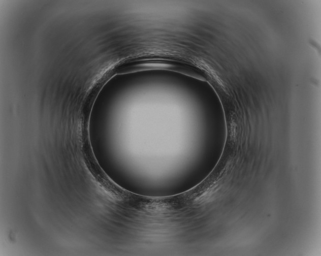 X0000091470444200708231342