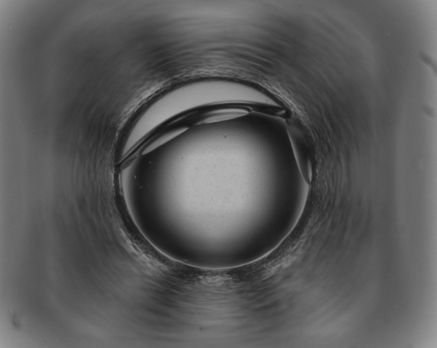 X0000091470446200708231342