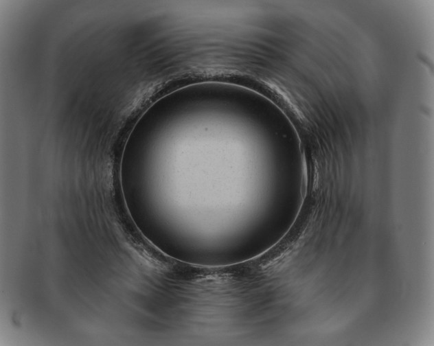 X0000091470447200708231342