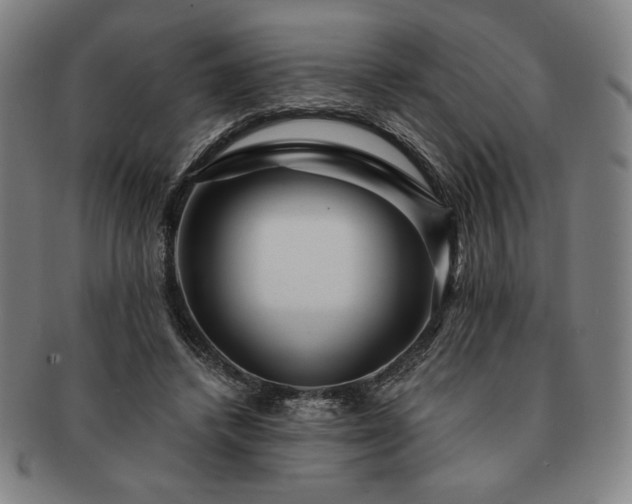 X0000091470448200708231342