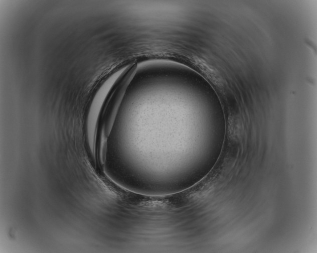 X0000091470449200708231342