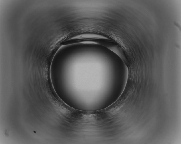 X0000091470450200708231342