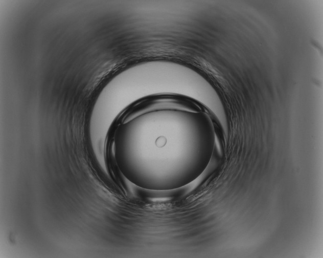 X0000091470452200708231342