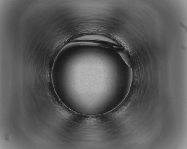 X0000091470453200708231342