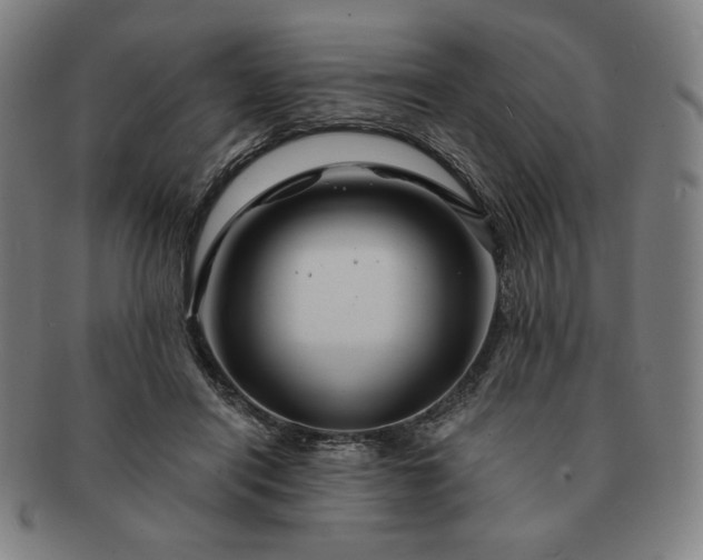 X0000091470454200708231342