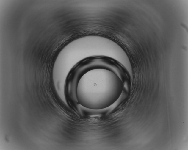 X0000091470456200708231342