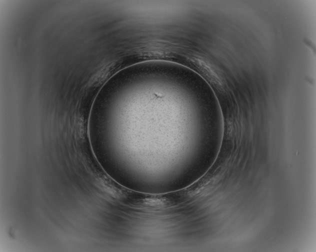 X0000091470457200708231342