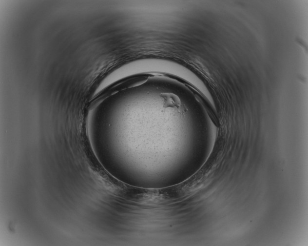 X0000091470458200708231342