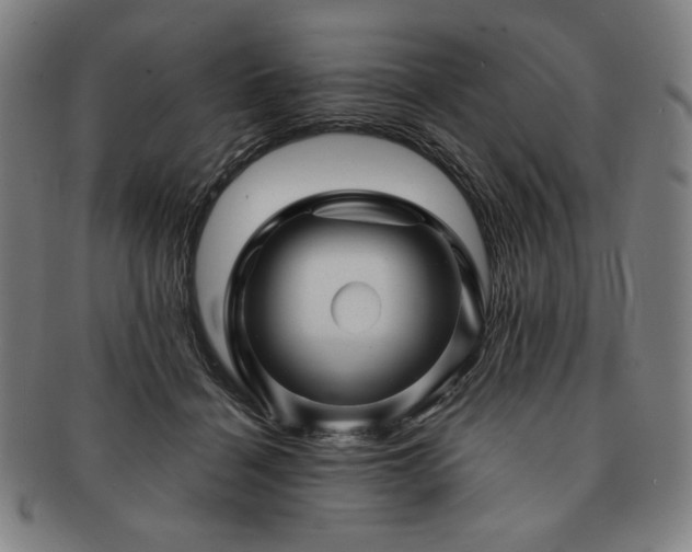 X0000091470460200708231342