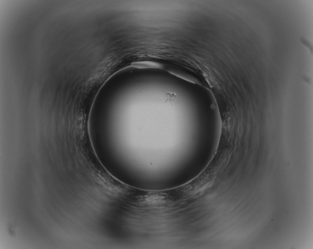 X0000091470462200708231342