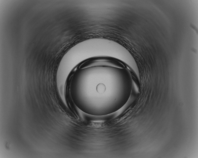 X0000091470464200708231342