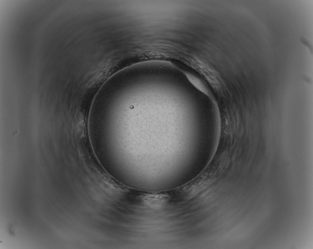 X0000091470465200708231342