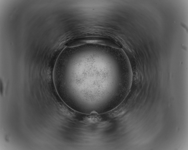 X0000091470466200708231342