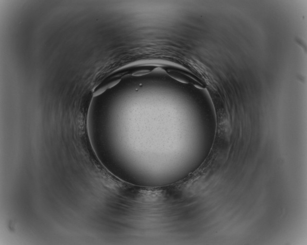 X0000091470469200708231342