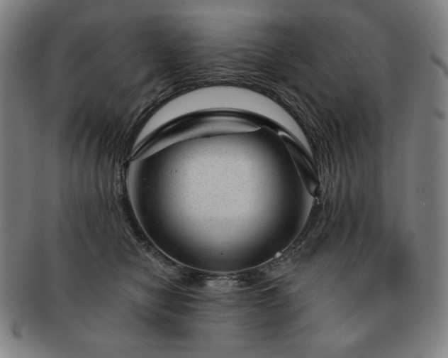 X0000091470470200708231342